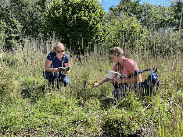 What is it Like to Become an Ecologist? Q & A with Beth England