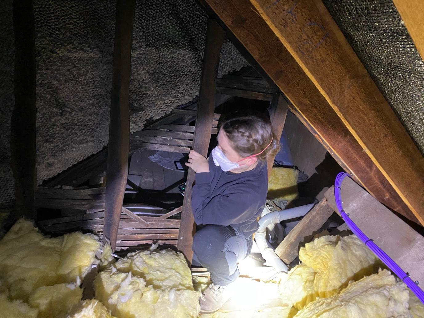 Surveyor inspecting a roof space surrounded by timber framing and insulation.