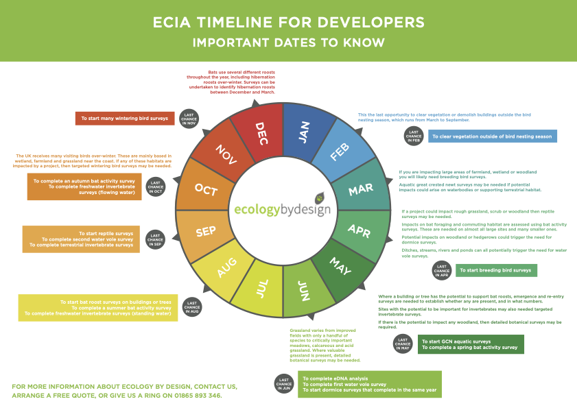 EcIA+Timeline+for+Developers+graphic