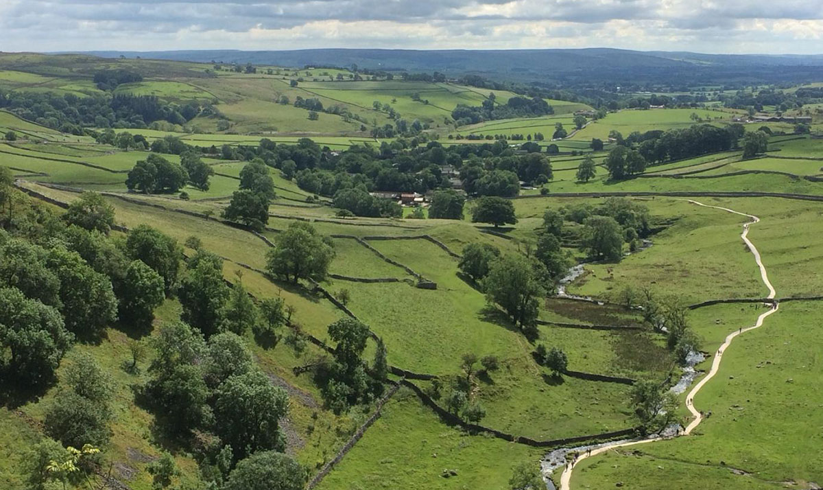large green area with mountains in background