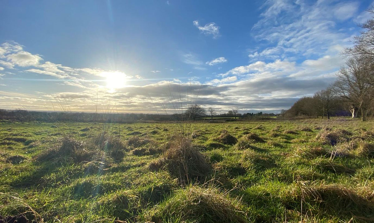 sunrise over large field