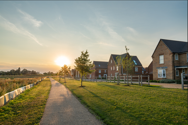 Sunset in suburban street