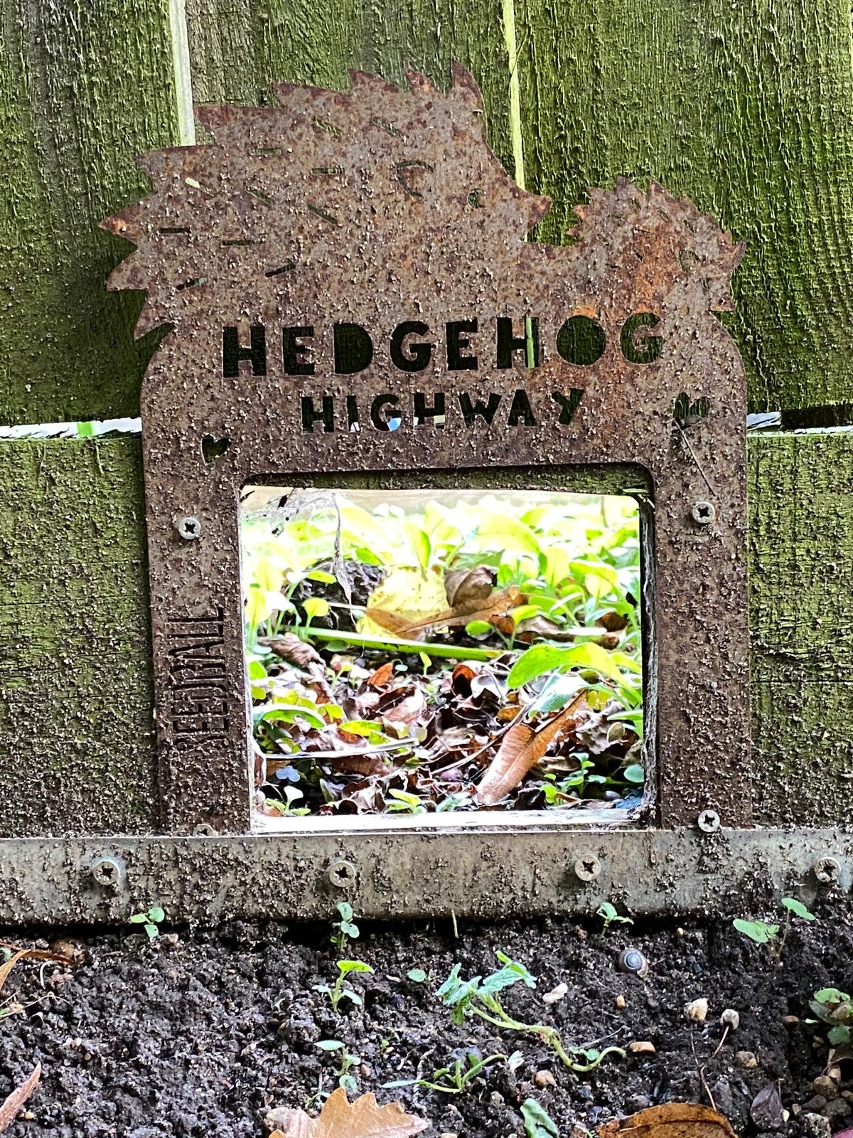 hedgehog hole
