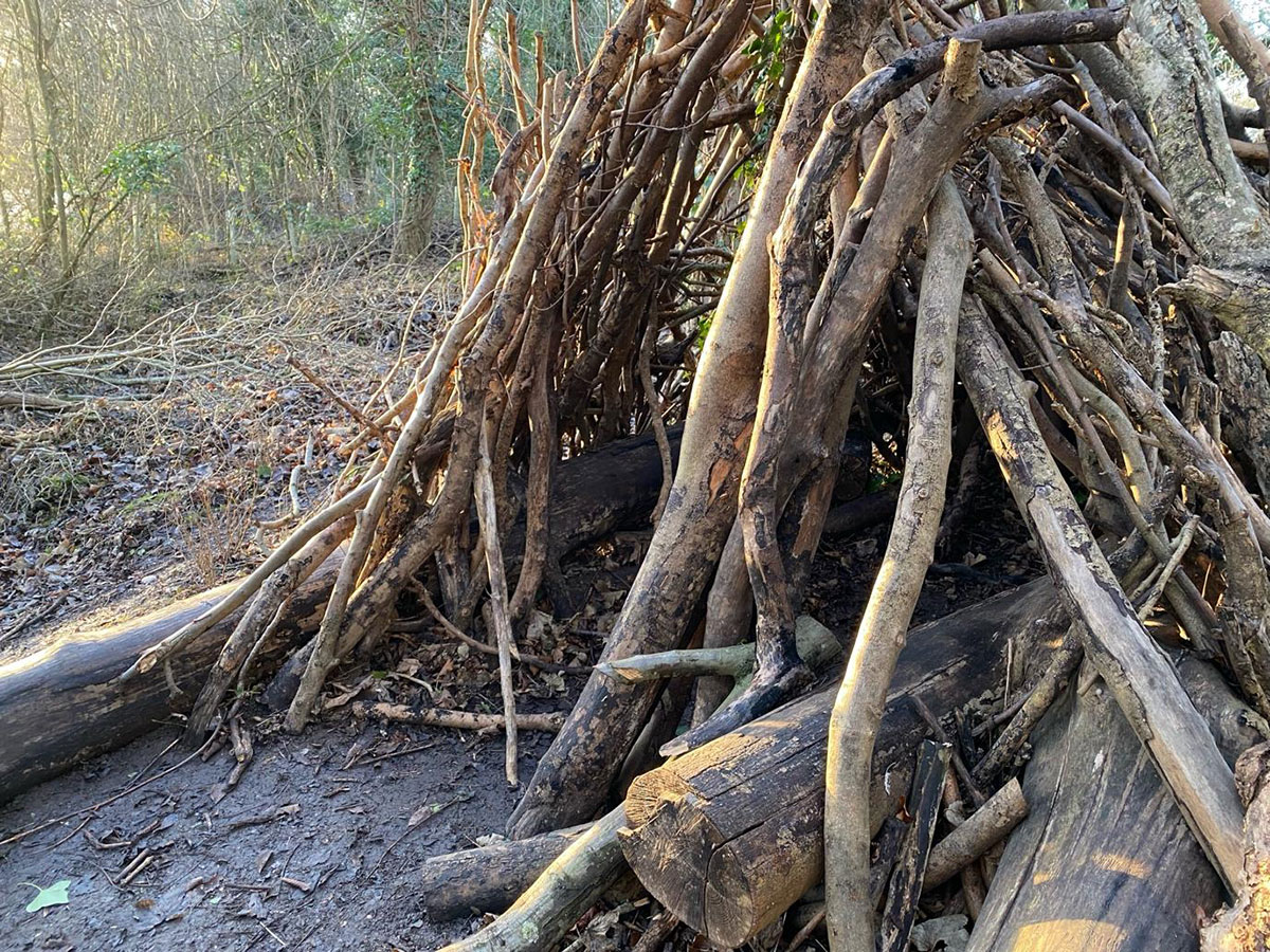 branches used to build a den