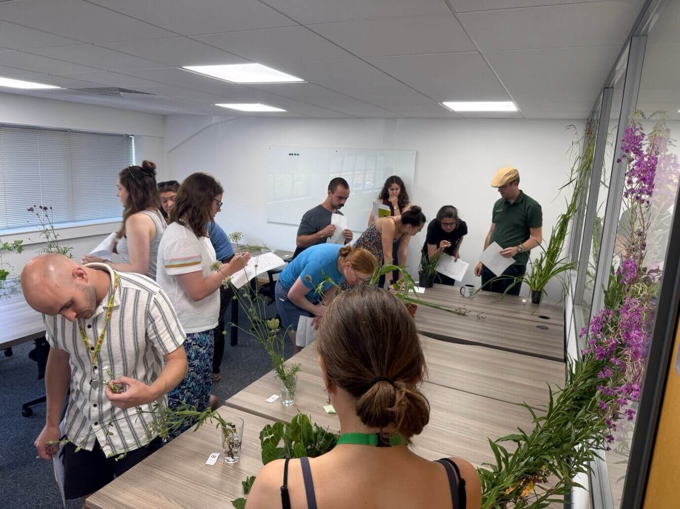 Enhancing Our Botanical Skills 03