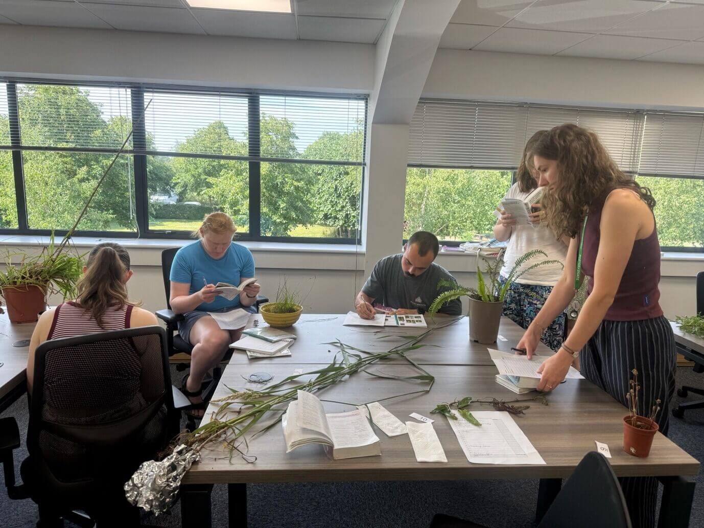 Enhancing Our Botanical Skills 04