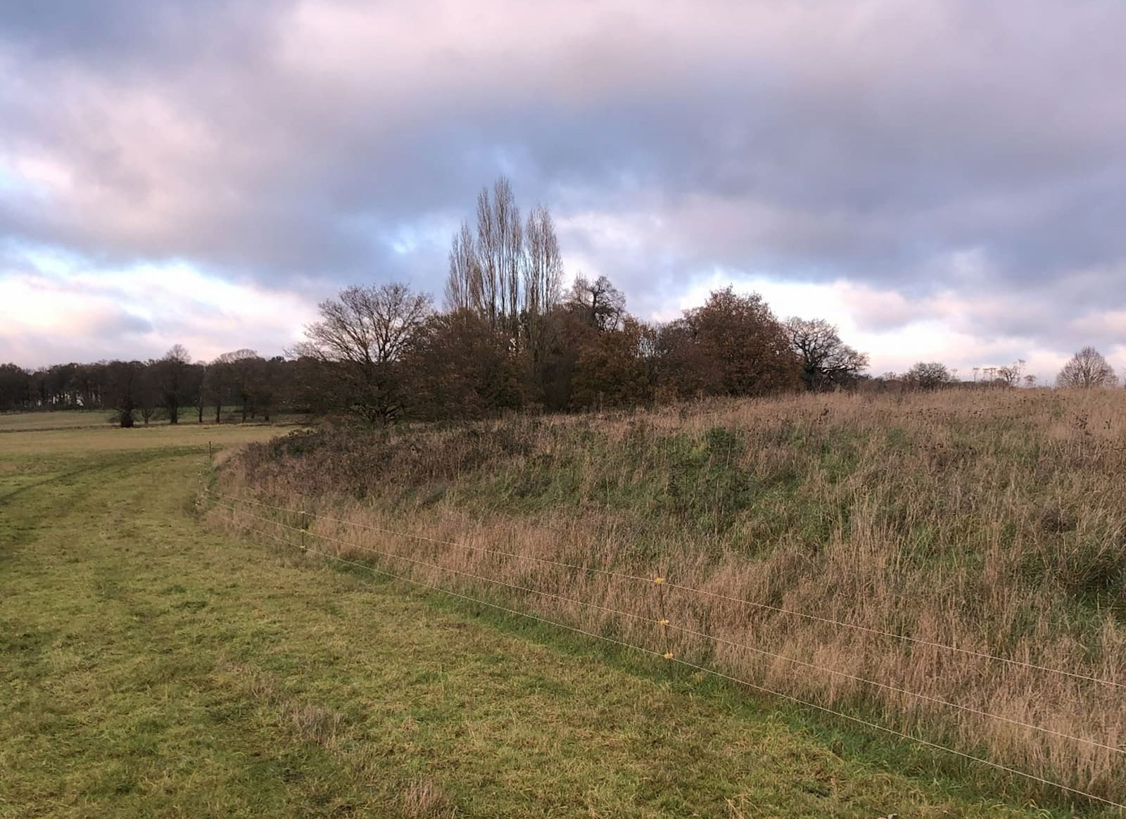 culham battery 02 cropped
