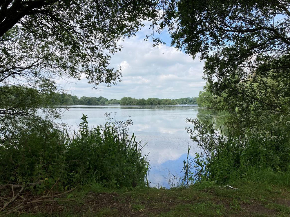 large water area by woods