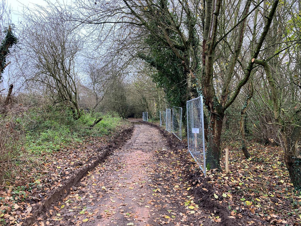 man made path through forest
