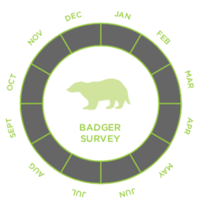 Badger Survey Cost