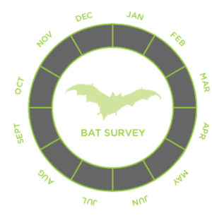 Preliminary Roost Assessment