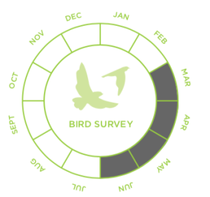 Breeding Birds Survey Cost