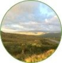 Phase 1 survey and report cost