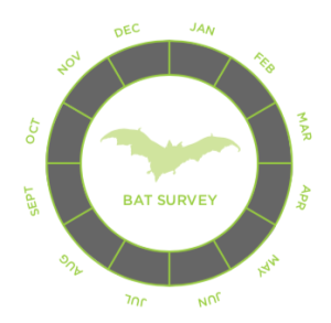 Tree Climbing Surveys