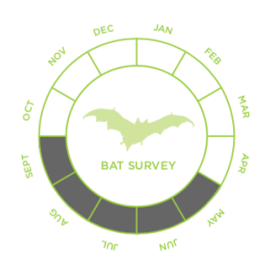 Emergence / Re-entry Survey
