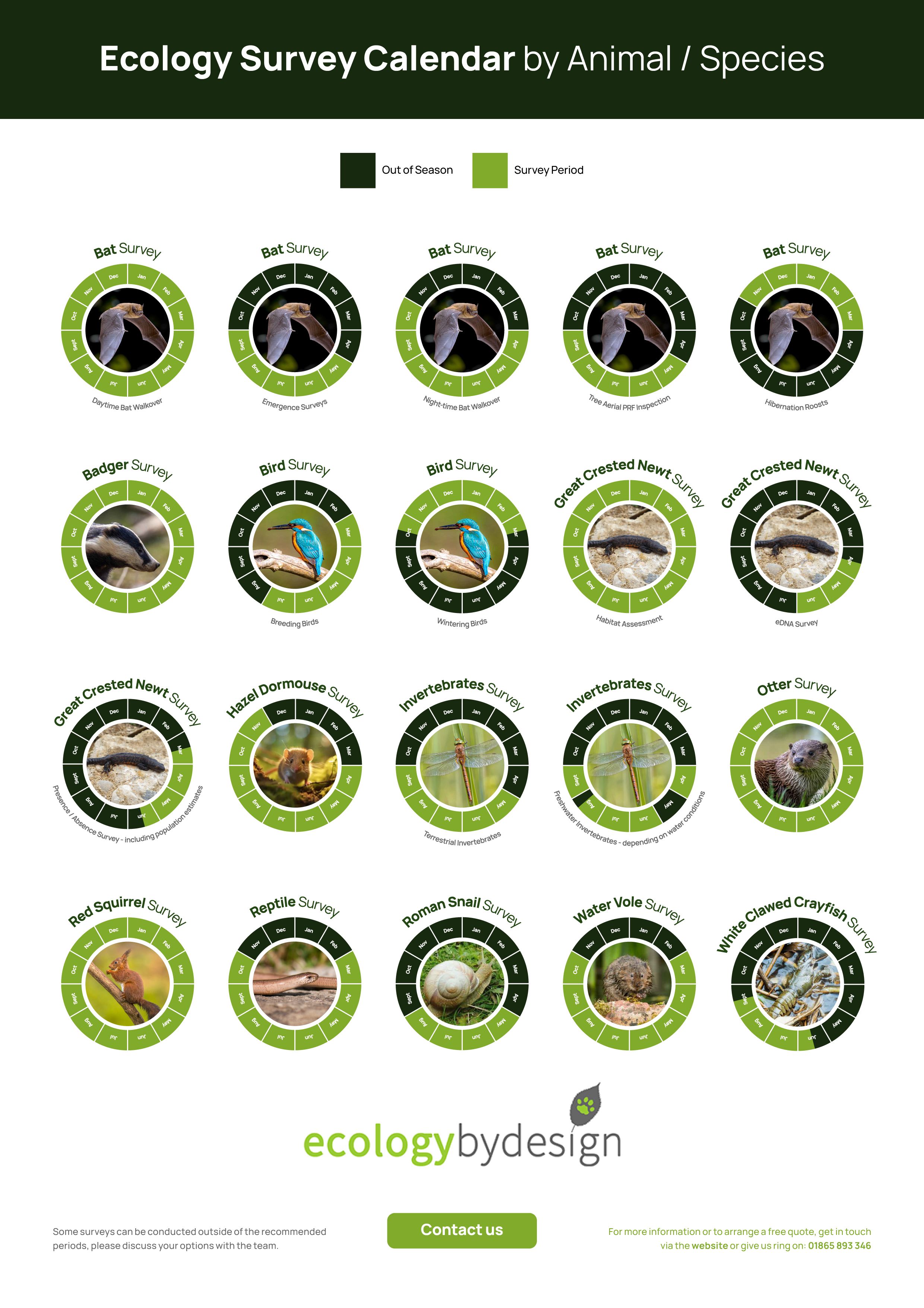 Main-Survey-Calendar