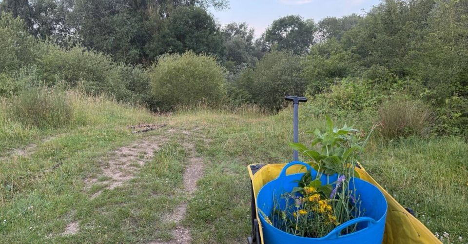 Enhancing Our Botanical Skills