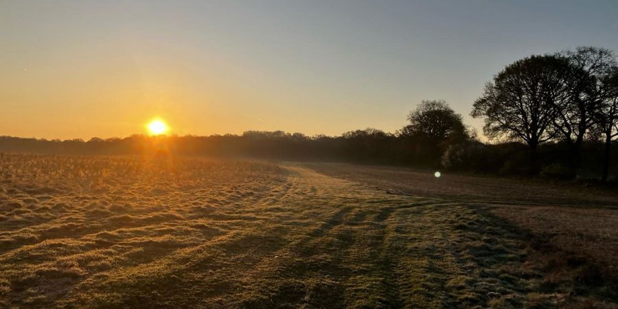 Chieveley Quarry sun rise