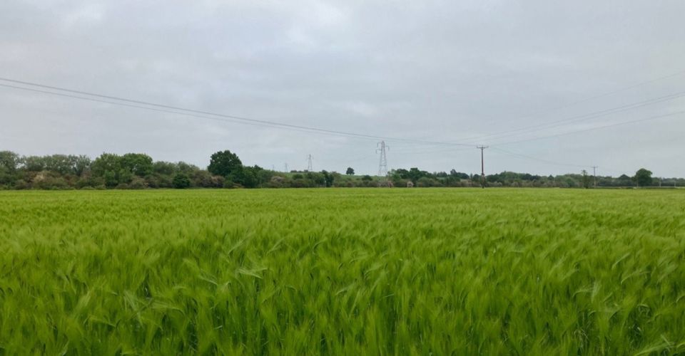 field in derby