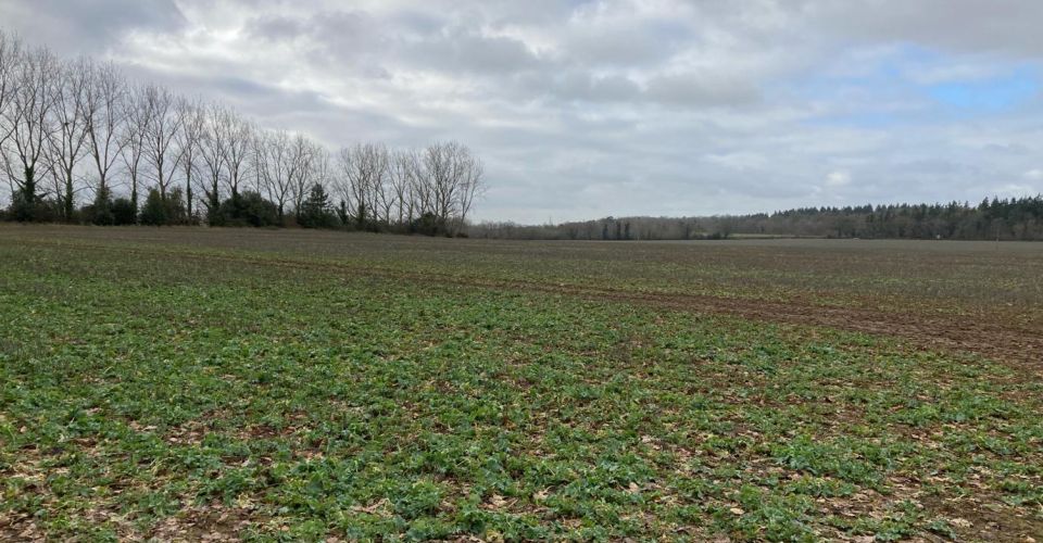 countryside in Burcot