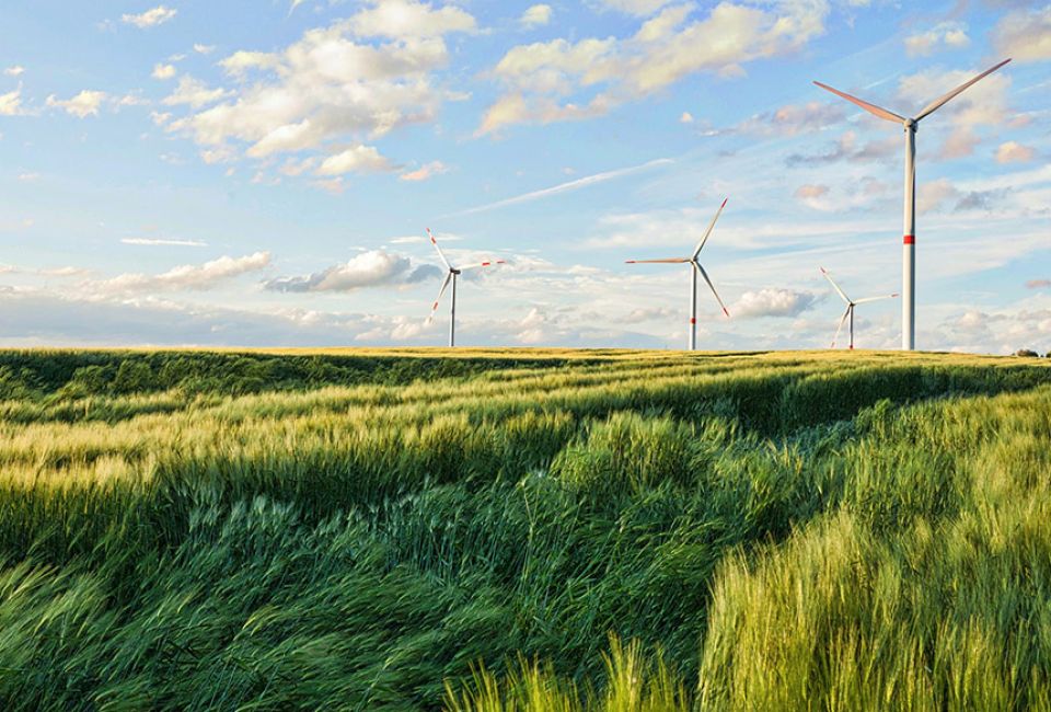 turbines in field