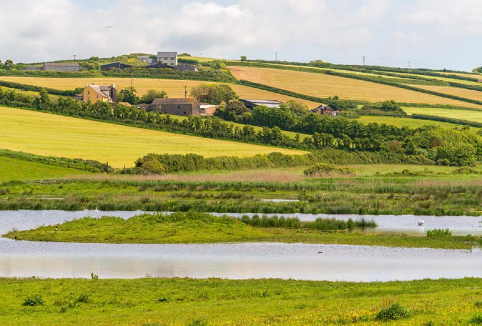 fields near river