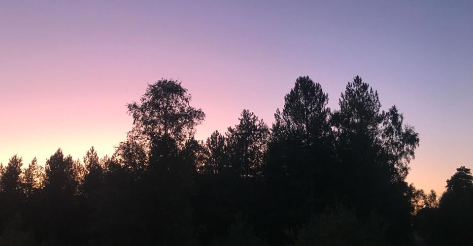 Purple Haze Minerals Site, Hampshire